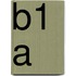 B1 A