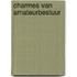 Charmes van amateurbestuur
