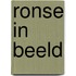 Ronse in beeld