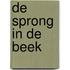 De sprong in de beek