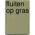 Fluiten op gras