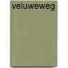 Veluweweg by H. van Baak
