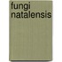 Fungi natalensis
