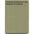 Haalbaarheidsonderzoek Cargocard Schiphol