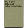 Wat is doet prov.raad gehandicaptenbel. door Willem Aalders