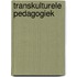 Transkulturele pedagogiek