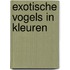 Exotische vogels in kleuren