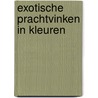 Exotische prachtvinken in kleuren door Noordzy