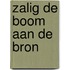 Zalig de boom aan de bron