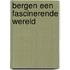 Bergen een fascinerende wereld