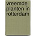 Vreemde planten in Rotterdam