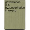 Gevelstenen e.a. byzonderheden in weesp door Brink