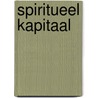 Spiritueel kapitaal by S. Langenberg