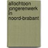 Allochtoon jongerenwerk in Noord-Brabant