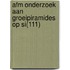 AFM onderzoek aan groeipiramides op Si(111)