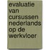 Evaluatie van cursussen Nederlands op de werkvloer