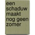 Een schaduw maakt nog geen zomer