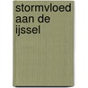 Stormvloed aan De IJssel by P. Weyling