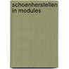 Schoenherstellen in modules door A. Horvers