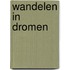 Wandelen in dromen