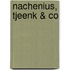 Nachenius, Tjeenk & Co