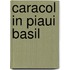 Caracol in piaui Basil