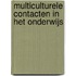 Multiculturele contacten in het onderwijs