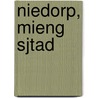 Niedorp, mieng sjtad by L.H. Robroek