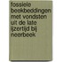 Fossiele beekbeddingen met vondsten uit de Late IJzertijd bij Neerbeek