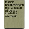 Fossiele beekbeddingen met vondsten uit de Late IJzertijd bij Neerbeek door H.A. Hiddink