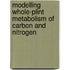 Modelling whole-plint metabolism of carbon and nitrogen