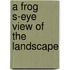 A frog s-eye view of the landscape