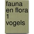 Fauna en Flora 1 Vogels