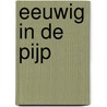 Eeuwig in De Pijp door H. Baaij