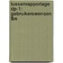 Tussenrapportage DP-1: Gebruikerswensen LBS