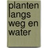 Planten langs weg en water