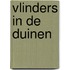 Vlinders in de duinen