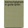 Kleinschaligheid in grote lijnen door Onbekend