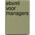 ebXML voor managers