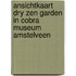 Ansichtkaart Dry Zen garden in Cobra Museum Amstelveen