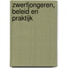 Zwerfjongeren, Beleid en praktijk door M. Willems