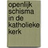 Openlijk schisma in de katholieke kerk