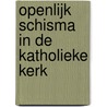 Openlijk schisma in de katholieke kerk door J. Van Der Wulp