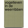 Vogelleven in de weerribben by Woets