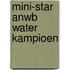 Mini-star ANWB Water Kampioen