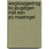 Wegloopgedrag bij jeugdigen met een pij-maatregel