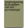 Wegloopgedrag bij jeugdigen met een pij-maatregel by M. Hildebrand