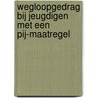 Wegloopgedrag bij jeugdigen met een pij-maatregel door M. Hildebrand