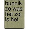 Bunnik zo was het zo is het door Gaag