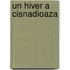 Un hiver a Cisnadioaza